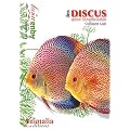 Les Discus