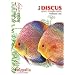 Les Discus