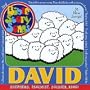 King David Said Is Anyone Left