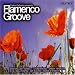 Search : Carlos Gallardo Presents Flamenco Groove, Vol. 2
