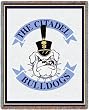 The Citadel Mascot - 69 x 48 Blanket/Throw - Citadel Bulldogs