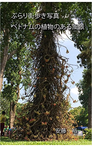 ぶらり街歩き  ベトナムの植物のある風景