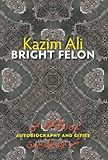 Bright felon : autobiography and cities