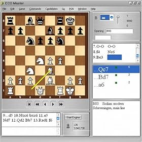 Click here to buy Chess Openings Wizard Express Chess Database Software.