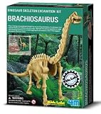Eigenschaften 4M / Dig-A-Dino Skeleton Ausgrabungsset Brachiosaurus