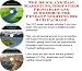 The Quick and Easy Marketing, Godfather Principles and eCommerce for Pendant Lighting Biz 3 CD Package