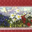 Ideal Home Range Alpengluhen, Red Lunch Napkin,  20-Count Package (Pack of 6)