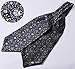 SetSense Men's Floral Jacquard Woven Self Cravat Tie Ascot