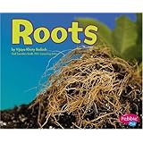Roots (Plant Parts)