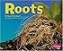 Roots (Plant Parts)