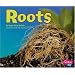Roots (Plant Parts series)