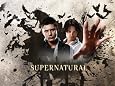 Supernatural: The Complete Fifth Season