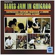 Blues Jam In Chicago - Volume 2