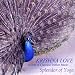 Bhakti Yoga: The Longing of the Heart