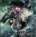 13 EYE SCREAM~SPECIAL DX edition~(DVD付)