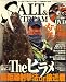 SALT & STREAM (ソルトアンドストリーム) 2009年 05月号 [雑誌]の画像