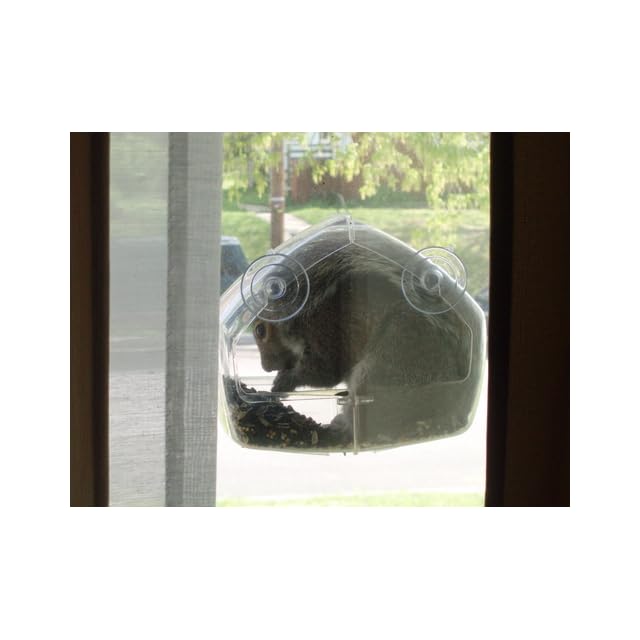 Birdscapes Clear Window Feeder 348 On Popscreen