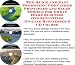 The Quick and Easy Promotion, Godfather Principles and Sales Models for Great Home Business Opportunities On-line Businesses 3 CD Course
