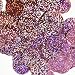 20mm Round Sequin Paillettes Pink Hologram Reflective Metallic Made in USA