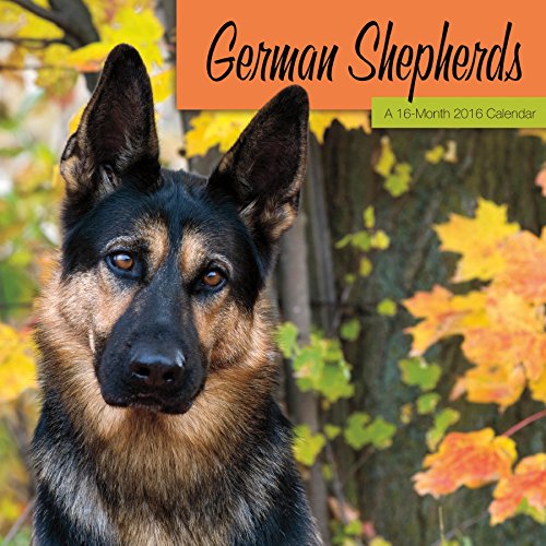 German Shepherds 2016 Wall Calendar