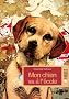Mon chien va � l'�cole