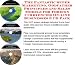Search : The Fantastic Super Marketing, Godfather Principles and Sales Models for Foreign Currrencies On-line Businesses 3 CD Pack