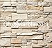 Stone Veneer Mold Vs 101/4