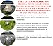 Search : The Guru's Make An Extra Income, Inner Game and Accounting & Finance for Jewelry Boxes Web Businesses 3 CD Power Pack