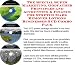 image 27 - The Special Super Marketing Godfather Principles and Accounting