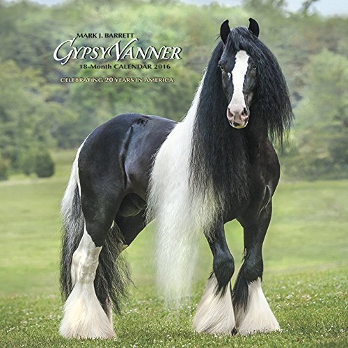 2016 Gypsy Vanner Horse Wall Calendar