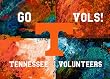 Tennessee Painting - Warhol Tennessee Logo