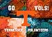 Tennessee Painting - Warhol Tennessee Logo