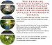 The Fantastic How To Earn Extra Money, Marketing and Inner Game for Stroller Accessories Businesses 3 CD Power Pack