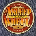 The Very Best Of Asleep At The Wheel MP3 Album Download