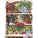 Cobblehill Puzzles 500pc - Flower Cupboard