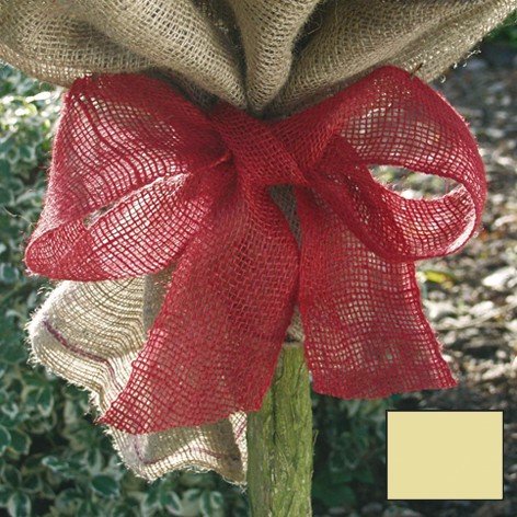 Star 3073260 Jute-Wickelband naturfarbig Preisvergleich