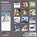 Siberian Huskies 2017 16 Month Wall Calendar 12 x 12 inches Bright Day Calendars Publishing
