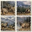 Highland Graphics- Mountain Meadows -Set of four Absorbent Stone Coasters