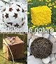 Artistes de nature : Pratiquer le land art au fil des saisons
