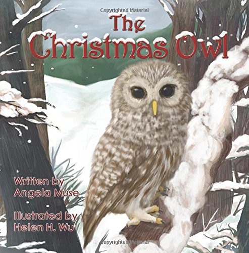 the christmas owl