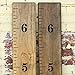 Little Acorns DIY Vinyl Growth Chart Ruler Decal Kit