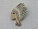 Grateful Dead Pins Native American Indian Headdress Skull Pin B