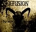 X-Fusion Free Lyrics