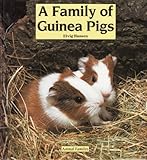 A family of guinea pigs