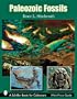 Paleozoic Fossils (Schiffer Book for Collectors)