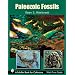 Paleozoic Fossils (Schiffer Book for Collectors)