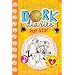 Pop Star: v. 3 (Dork Diaries)