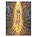 Alex Grey 2016 Wall Calendar
