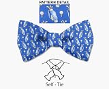 Self-Tie Novelty