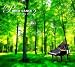 『PIANO DANCE2 / The Standard Club』の写真